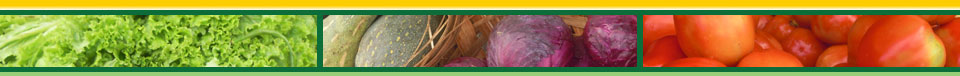 Webshop